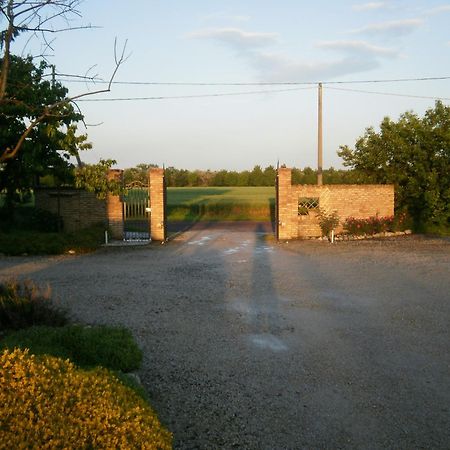Agriturismo La Cascinetta Пьеве-ди-Ченто Экстерьер фото